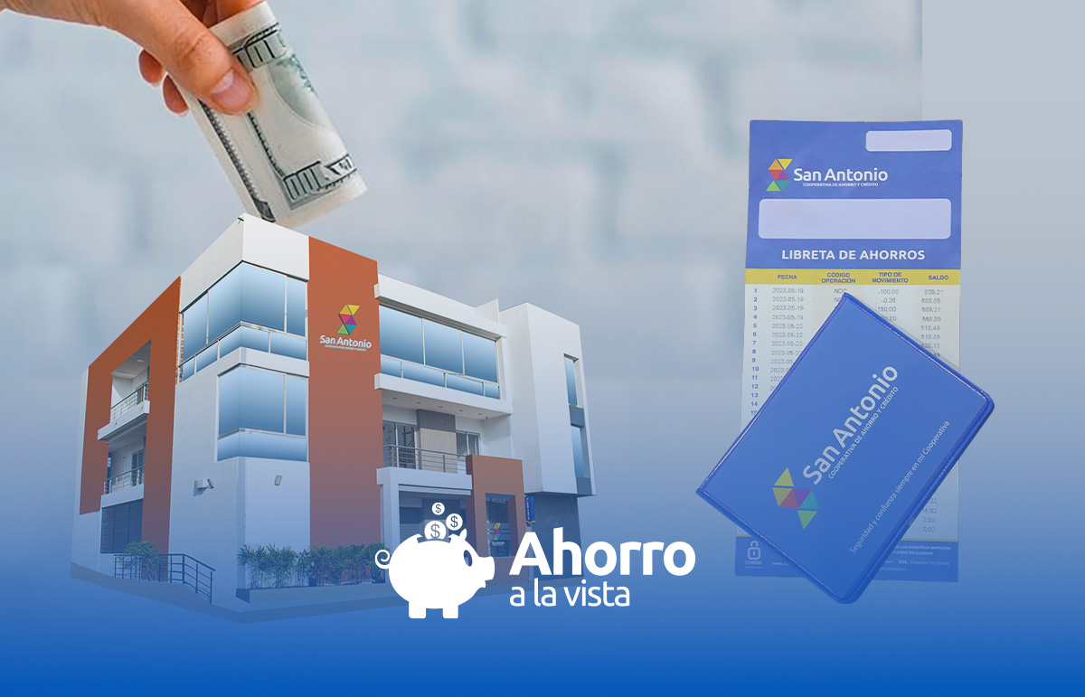 Ahorro a la Vista
